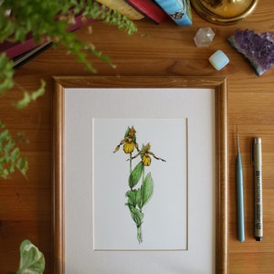 Lady Slipper // 5x7, 8x10, Flower Painting, Wall Decor, Nature Art, Orchid Floral Art, Illustratie, Prairie Wildflower, Wildflower Painting