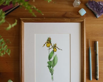 Lady Slipper // 5x7, 8x10, Flower Painting, Wall Decor, Nature Art, Orchid Floral Art, Illustration, Prairie Wildflower, Wildflower Painting