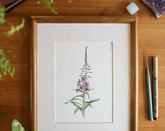 Fireweed // 5x7, 8x10, Flower Painting, Wall Decor, Nature Art, Floral Art, Illustration, Prairie Wildflower, Wildflower Painting, Purple