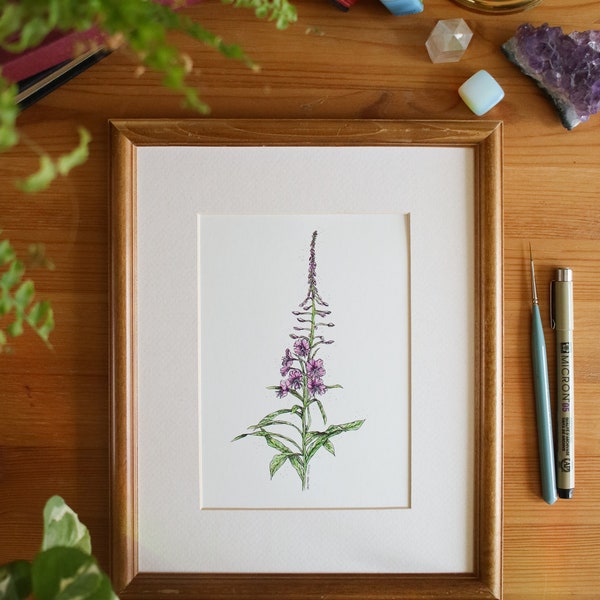 Fireweed // 5x7, 8x10, Flower Painting, Wall Decor, Nature Art, Floral Art, Illustration, Prairie Wildflower, Wildflower Painting, Purple