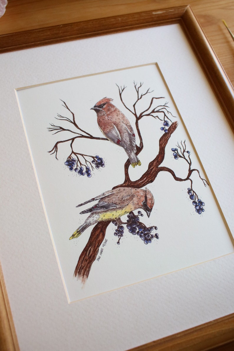 Cedar Waxwings // 5x7 / 8x10 // Art Print // Nature // Birds // Watercolour Painting // Illustration image 2