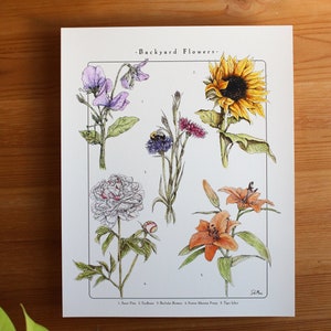 Fleur de jardin - affiche / 8 x 10, cadeau pour les amoureux des plantes, art mural floral, infographie, cadeau pour les amoureux des fleurs, cadeau fleur unique, variétés de fleurs