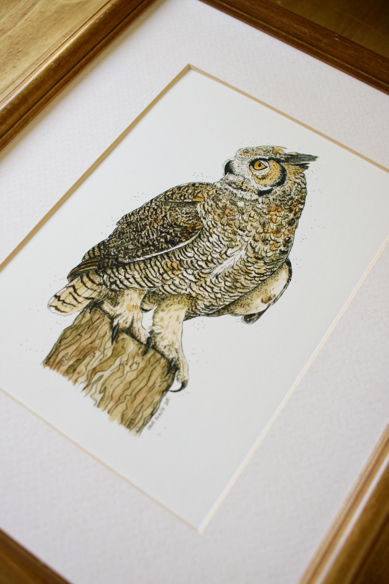 Great Horned Owl // 5x7 , 8x10 Art Print, Bird Wall Art, Bird Lover ...