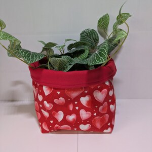May include: A red fabric plant pot with a heart pattern, containing a green plant with white veins. The pot has a solid red rim. The pot is on a white surface.