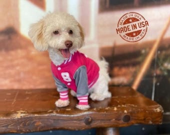 Personalized Dog Varsity Jacket: Custom College Pet Bomber