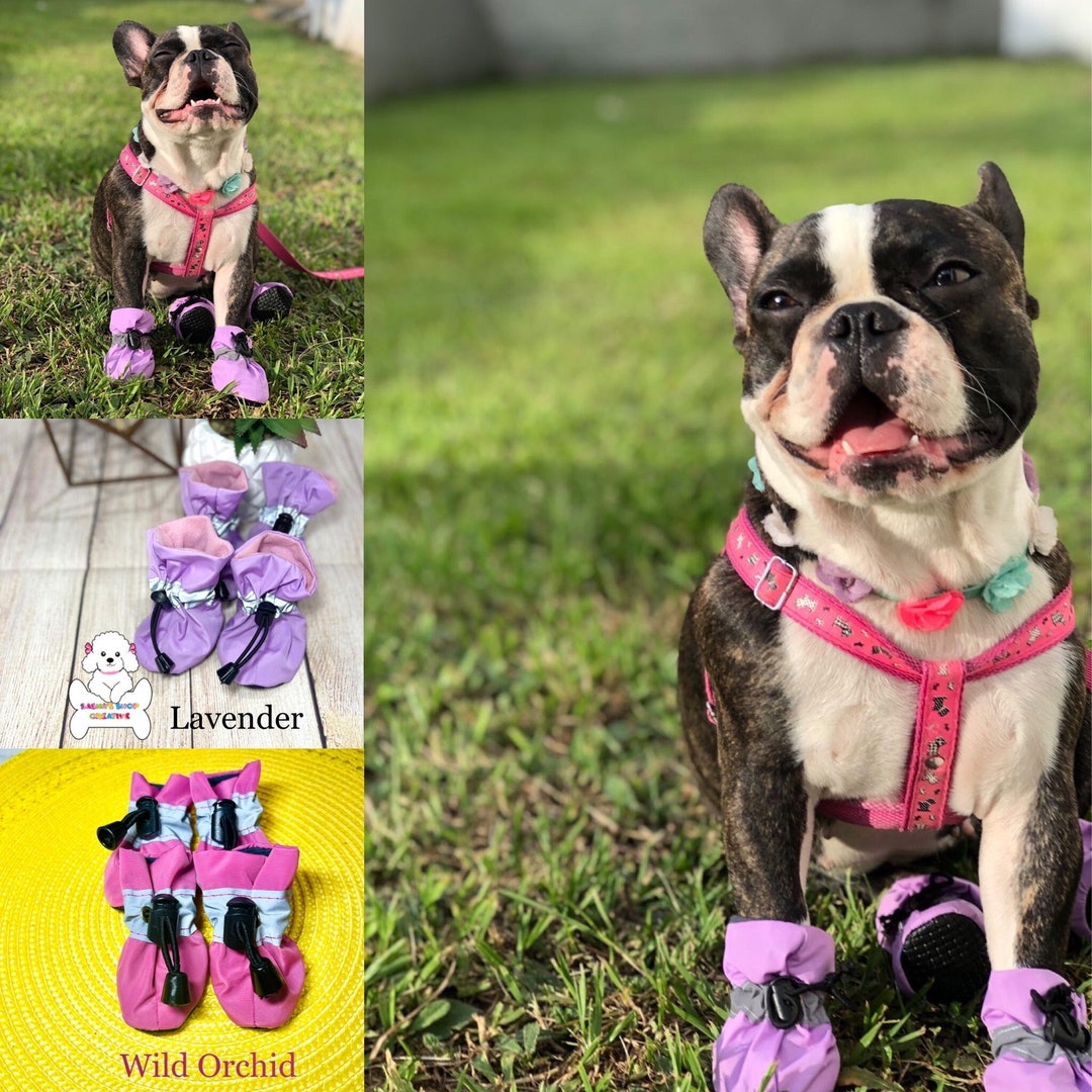 Dog Shoes, Pet Dogs Shoes Reflective, Boots Paw Protector, Antislip