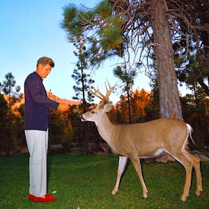 JFK Feeds Deer Rare Photo, Printable Poster, President John F. Kennedy Nature Vintage Pic, JFK Memorabilia, Classroom Poster, Teacher Gift