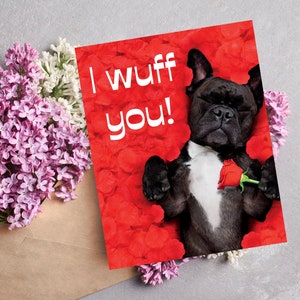 Frenchie avec roses imprimable Saint-Valentin, bouledogue français sur pédales rose en téléchargement numérique, carte de Saint-Valentin femme, petite amie, maman Frenchie