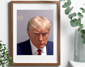 May include: A framed photograph of a man with blond hair wearing a dark suit and a red tie. The man has a serious expression on his face. The photograph is in a brown frame.