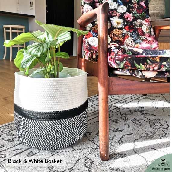 Our Favorite Plant Pots and Stands