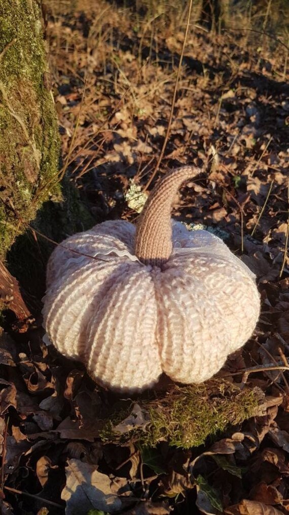 Brise Automnale - Collection Rêve d'automne Grande Citrouille avec Dentelle Blanche