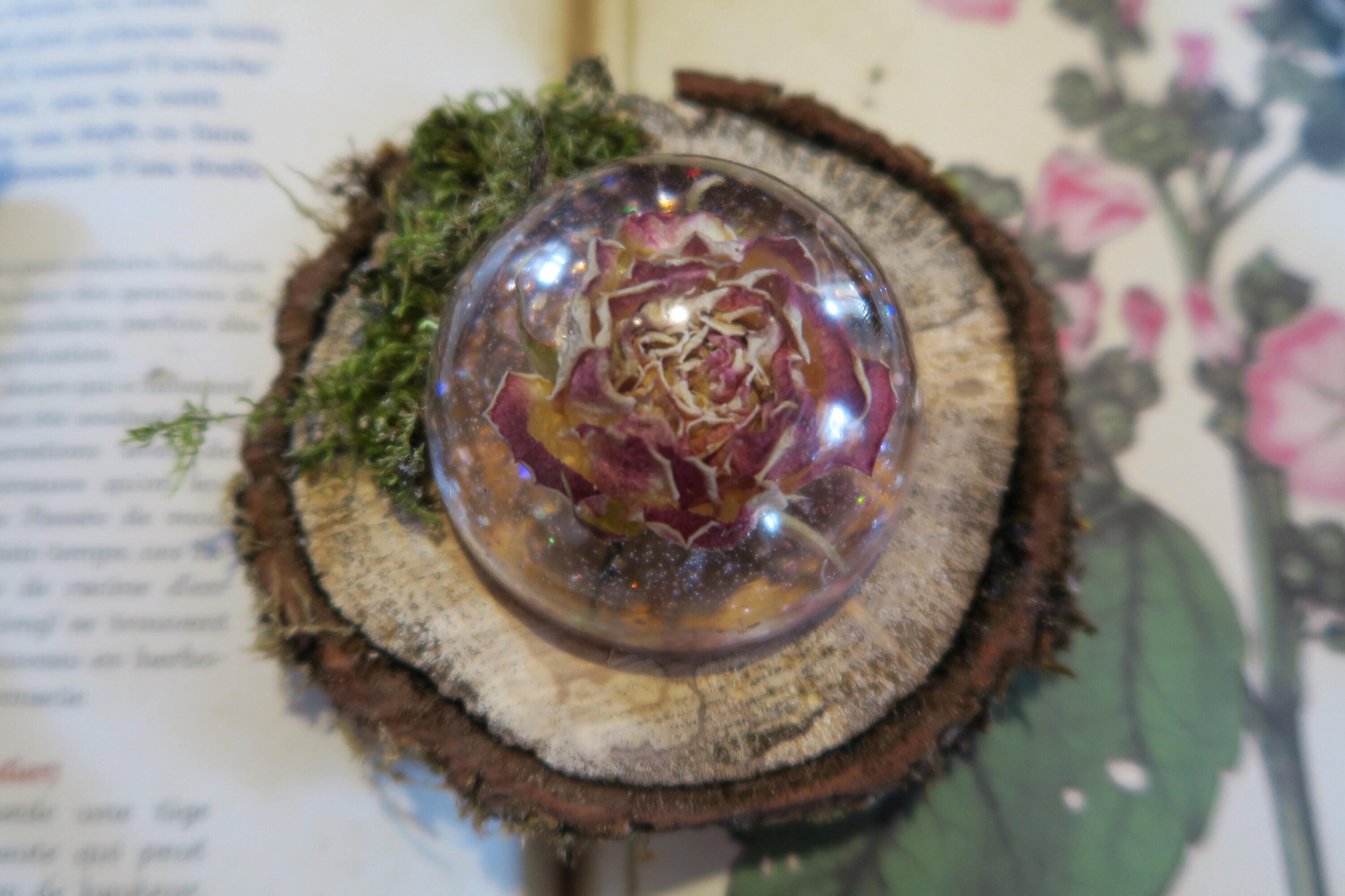 Dôme de Gaïa sur Son Socle Bois - Résine Renfermant Une Rose avec Des Paillettes