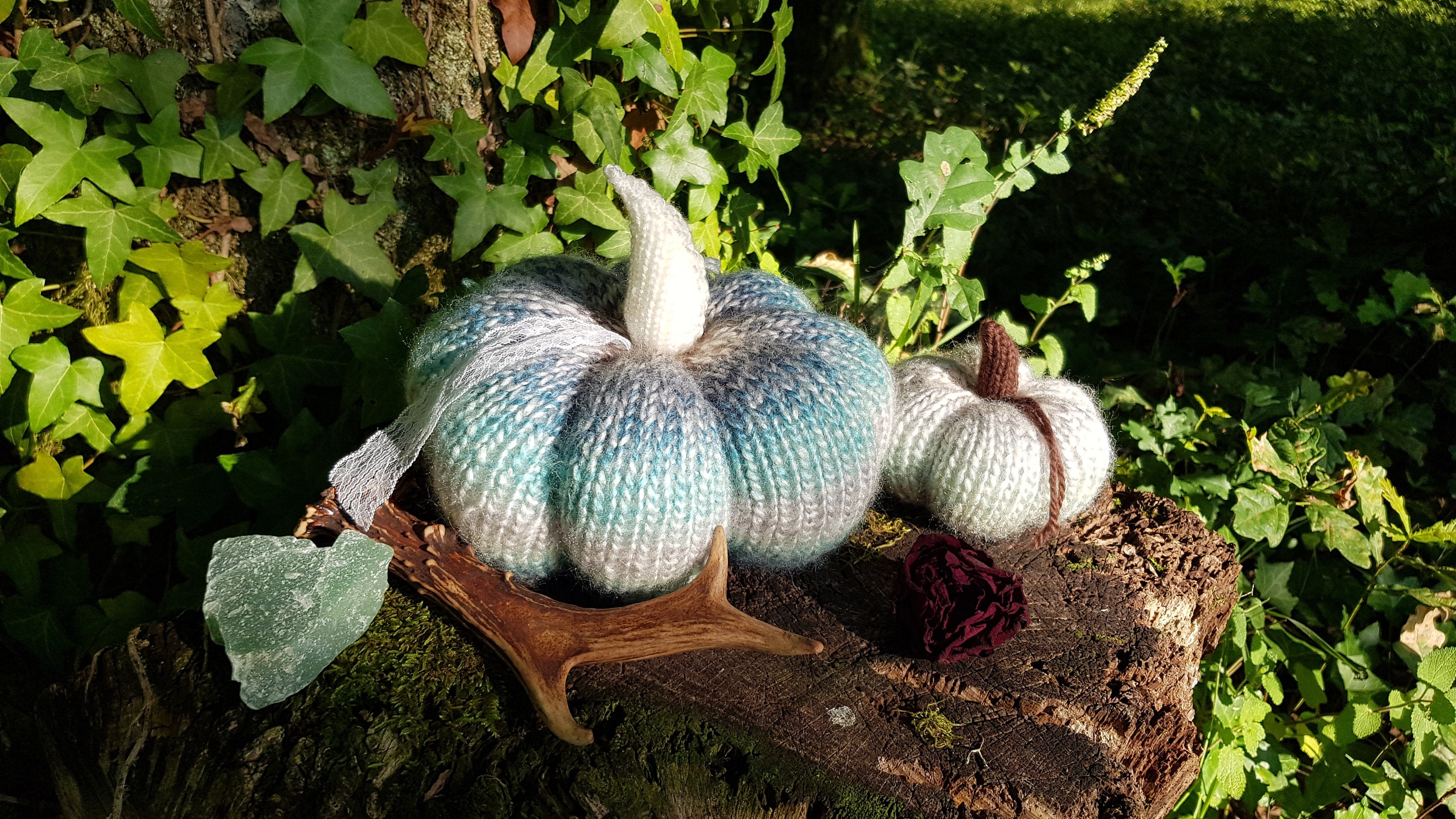 Les Inséparables - Collection Famille Lot de Petites Citrouilles Chaleureuses