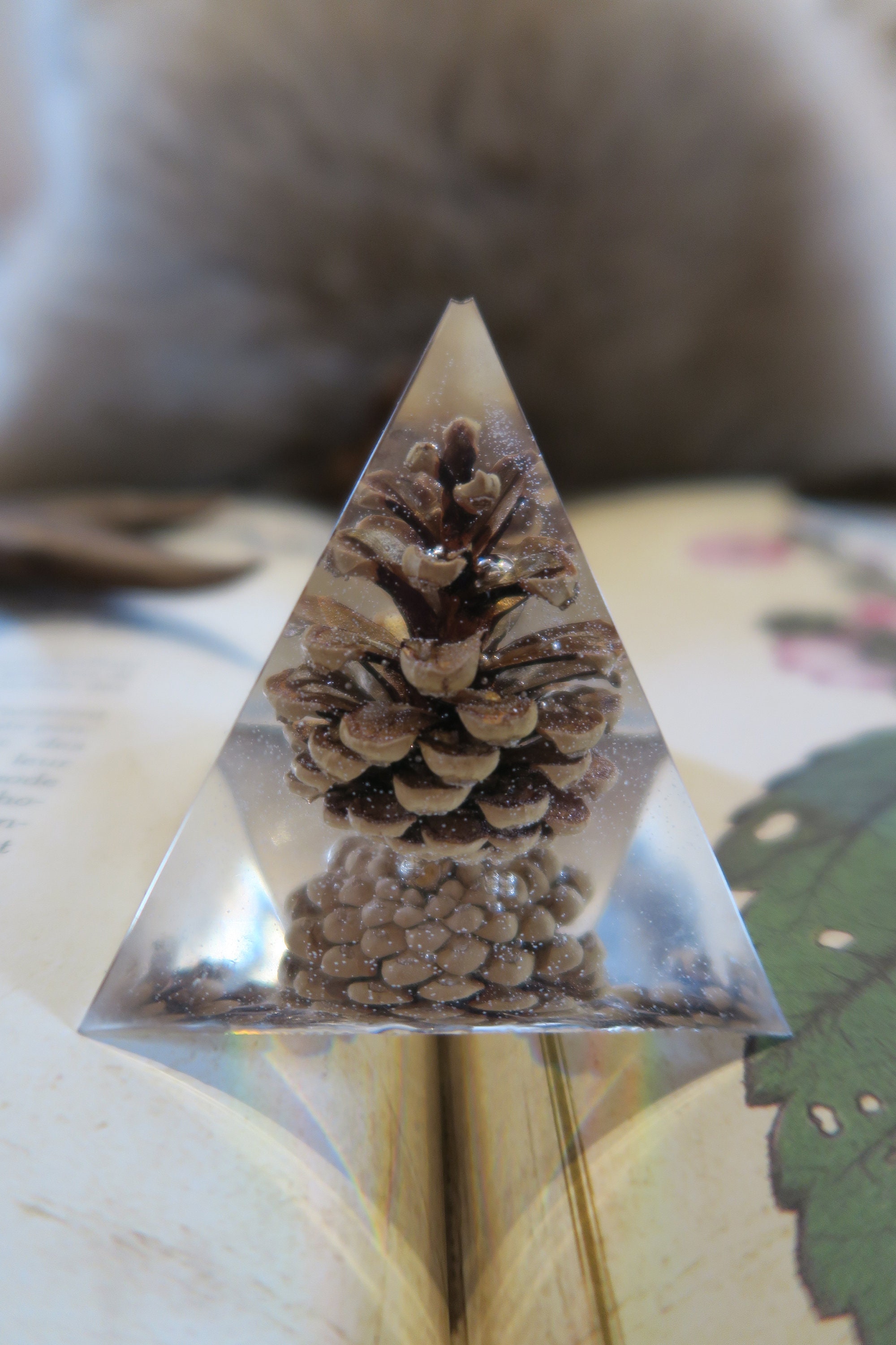 Les Faces Cachées - Pomme de Pin 1 Pyramide en Résine