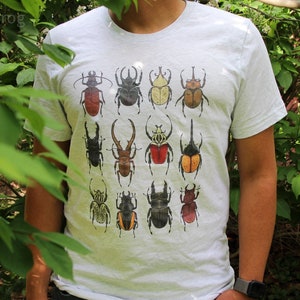 Large Beetles Short-Sleeve Unisex T-Shirt | Insect, Bug & Nature Apparel with Goliath, Hercules, Stag, and More | Printed on Bella+Canvas