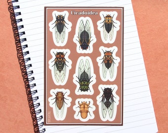 Cicadas 4x6" Sticker Sheet | Kiss-Cut & Scratch-Resistant Bug, Insect Nature Decals for Laptop, Stationary, and More | Remove Carefully!