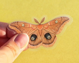 Polyphemus Moth Clear Vinyl Sticker | 3 x 1.6 inches | Transparent, Durable, Waterproof, Scratch-Resistant Nature Themed Bug & Insect Decal