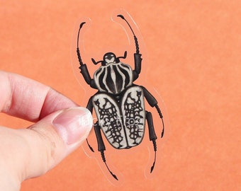 Goliath Beetle Clear Vinyl Sticker  (Black and White) | 3 x 1.59 inches | Transparent, Durable, Waterproof Nature Themed Bug & Insect Decal