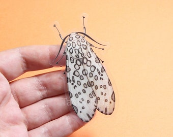 Leopard Moth Clear Vinyl Sticker | 3 x 1.73 inches | Transparent, Durable, Waterproof, Scratch-Resistant Nature Themed Bug & Insect Decal