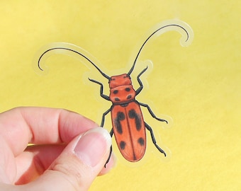 Milkweed Beetle Clear Vinyl Sticker | 3 x 2.64 inches | Transparent, Durable, Waterproof Nature Themed Red Spotted Bug, Insect Summer Decal