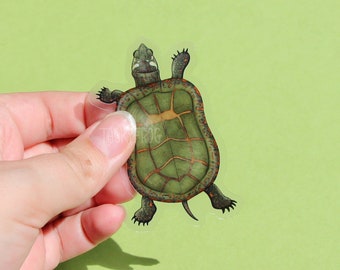 Painted Turtle Clear Vinyl Sticker | 3 x 1.77 inches | Transparent, Durable, Waterproof Realistic Earth Tone Nature, Animal, Wildlife Decal