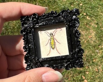 May include: A small black frame with ornate detailing holds a delicate drawing of a yellow and black beetle with long antennae. The drawing is on a white background.