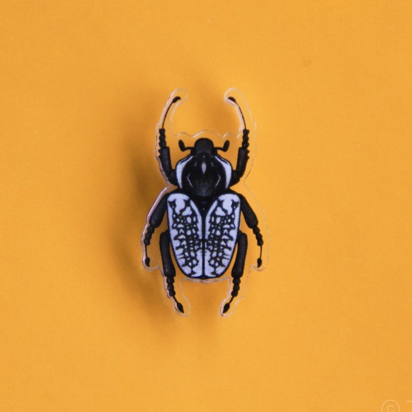 Acrylic Pin of Goliath Beetle w/ Rubber Clutch | Cute, Tiny 0.75" x 1.31" Dark Academia Beetle Pin Gift for Bug, Insect, & Nature Lovers