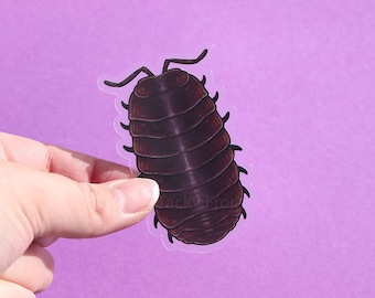 Pill Bug Clear Vinyl Sticker | 3 x 1.91 inches | Transparent, Durable, Waterproof Nature Themed Wood Lice, Isopod, Crustacean Bug Decal