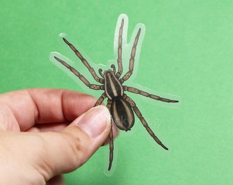 Wolf Spider Clear Vinyl Sticker | 2.5 x 3 Inches | Transparent, Durable, Waterproof Brown Spider Decal for Bug, Arachnid, and Nature Lovers