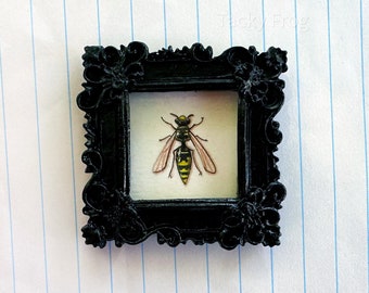 May include: A small, black framed picture featuring a detailed illustration of a wasp. The wasp has yellow and black stripes on its abdomen and thorax, with tan wings. The frame has ornate, floral-like detailing.