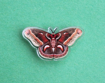 Cecropia Moth Acrylic Pin w/ Rubber Clutch | Cute, Tiny 0.75" x 1.33" Dark Academia, Brown Moth Pin Gift for Bug, Insect, & Nature Lovers