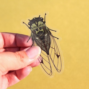 Green Cicada Clear Vinyl Sticker | 3 x 1.70 inches | Transparent, Durable, Waterproof Nature Themed Bug & Insect Earth Tone Decal