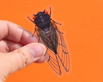 Red-Eyed Cicada Clear Vinyl Sticker | 3 x 1.56 inches | Transparent, Durable, Waterproof Nature Themed Periodical Bug & Insect Decal