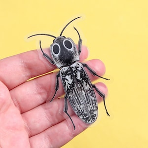 May include: A clear sticker of a black and white beetle with large eyes. The beetle is on a yellow background.