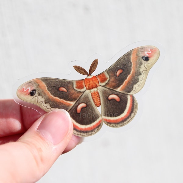 Cecropia Moth Clear Vinyl Sticker: 3 x 1.58 Inch Waterproof Insect Decal