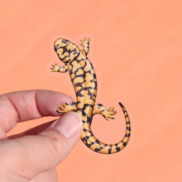 Tiger Salamander Clear Vinyl Sticker | 3 x 1.84 inches | Transparent, Durable, Waterproof Realistic Earth Tone Nature, Animal Decal