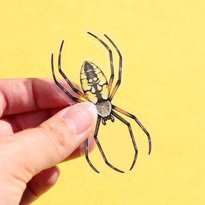 May include: A clear sticker of a yellow garden spider with black markings. The spider is shown in a realistic style with its legs outstretched.