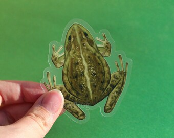 Bullfrog Clear Vinyl Sticker | 3 x 2.8 inches | Transparent, Durable, Waterproof Realistic Earth Tone Nature, Green Pond Animal Decal