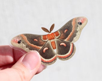Sticker papillon cecropia en vinyle transparent : Sticker insectes imperméable 3 x 1,58 pouce