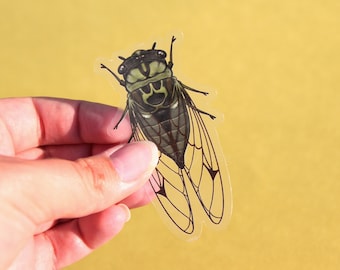 Green Cicada Clear Vinyl Sticker | 3 x 1.70 inches | Transparent, Durable, Waterproof Nature Themed Bug & Insect Earth Tone Decal