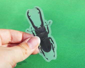 Stag Beetle Clear Vinyl Sticker | 3 x 1.55 inches | Transparent, Durable, Waterproof Nature Themed Creepy, Edgy, Black Bug & Insect Decal