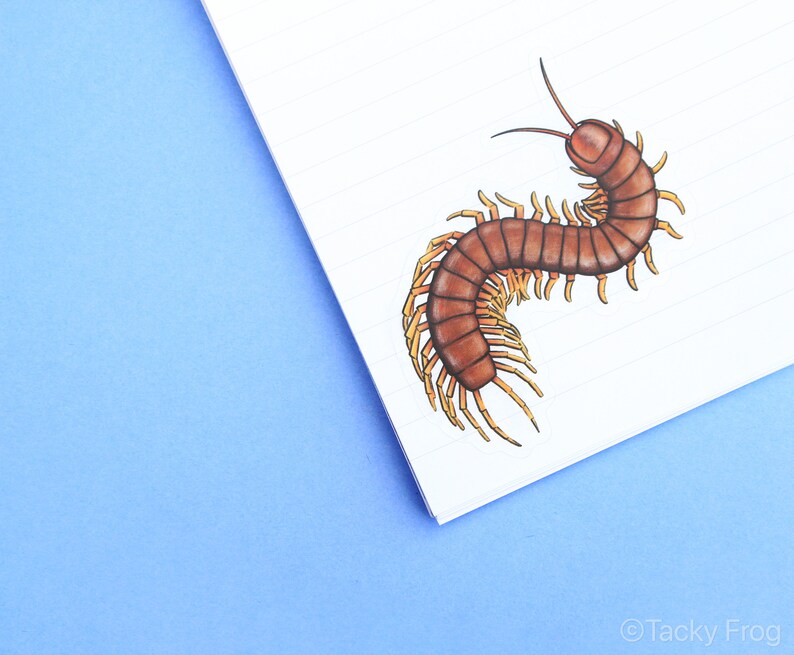 Centipede Clear Vinyl Sticker 2.12 X 3 Inches Transparent Etsy