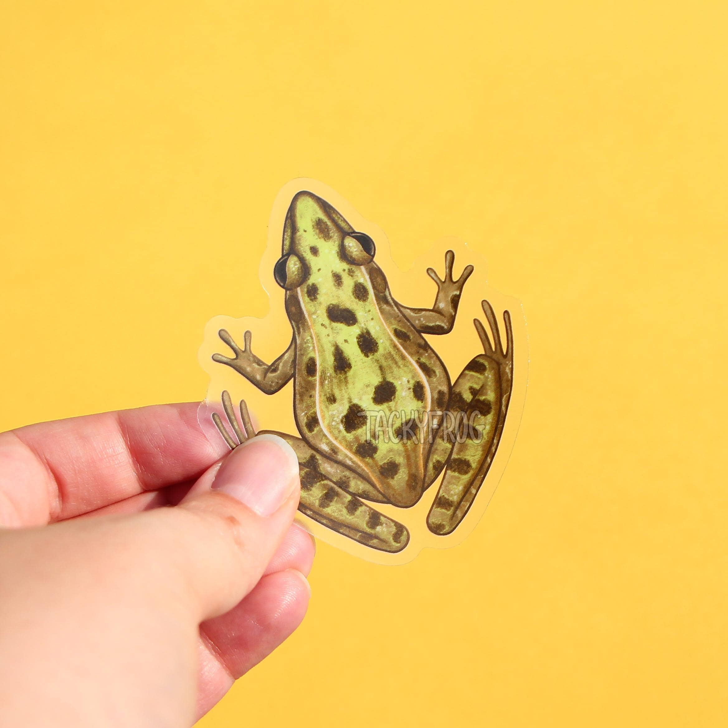 Leopard Frog Clear Vinyl Sticker | 3 X 2.6 Inches | Transparent ...