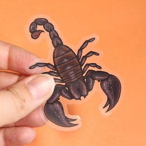 Dark Scorpion Clear Vinyl Sticker | 3 x 2.24 inches | Transparent, Durable, Waterproof Nature Themed Spooky Brown Bug Decal for Halloween