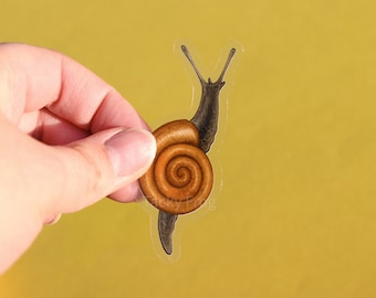 Adhesivo de vinilo transparente de caracol de brillo rápido / 3 x 1,27 pulgadas / Calcomanía realista, duradera e impermeable de un lindo caracol oscuro para amantes de los insectos y la naturaleza