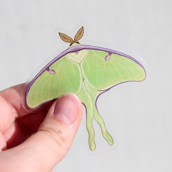 Luna Moth Clear Vinyl Sticker | 3 x 2.97 inches | Transparent, Durable, Waterproof, Scratch-Resistant Nature Themed Bug & Insect Decal