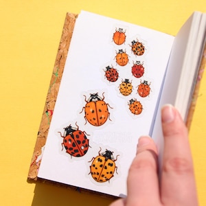 May include: A notebook with a cork cover and a variety of ladybug stickers on the pages. The stickers are in various shades of orange, red, and black.