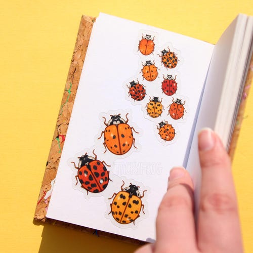 Ladybugs Clear Vinyl Sticker | Transparent, Durable, Waterproof Orange Spotted Lady Beetle Decal for Entomologists, Bug, and Nature Lovers