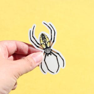 May include: A white sticker featuring a black and yellow spider illustration. The spider has a yellow abdomen with black markings and eight black legs.