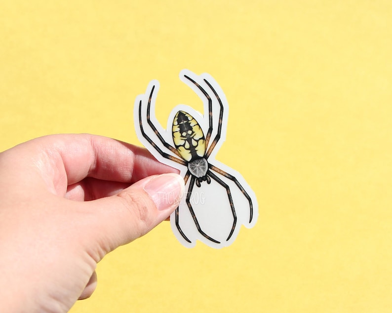 May include: A white sticker featuring a black and yellow spider illustration. The spider has a yellow abdomen with black markings and eight black legs.